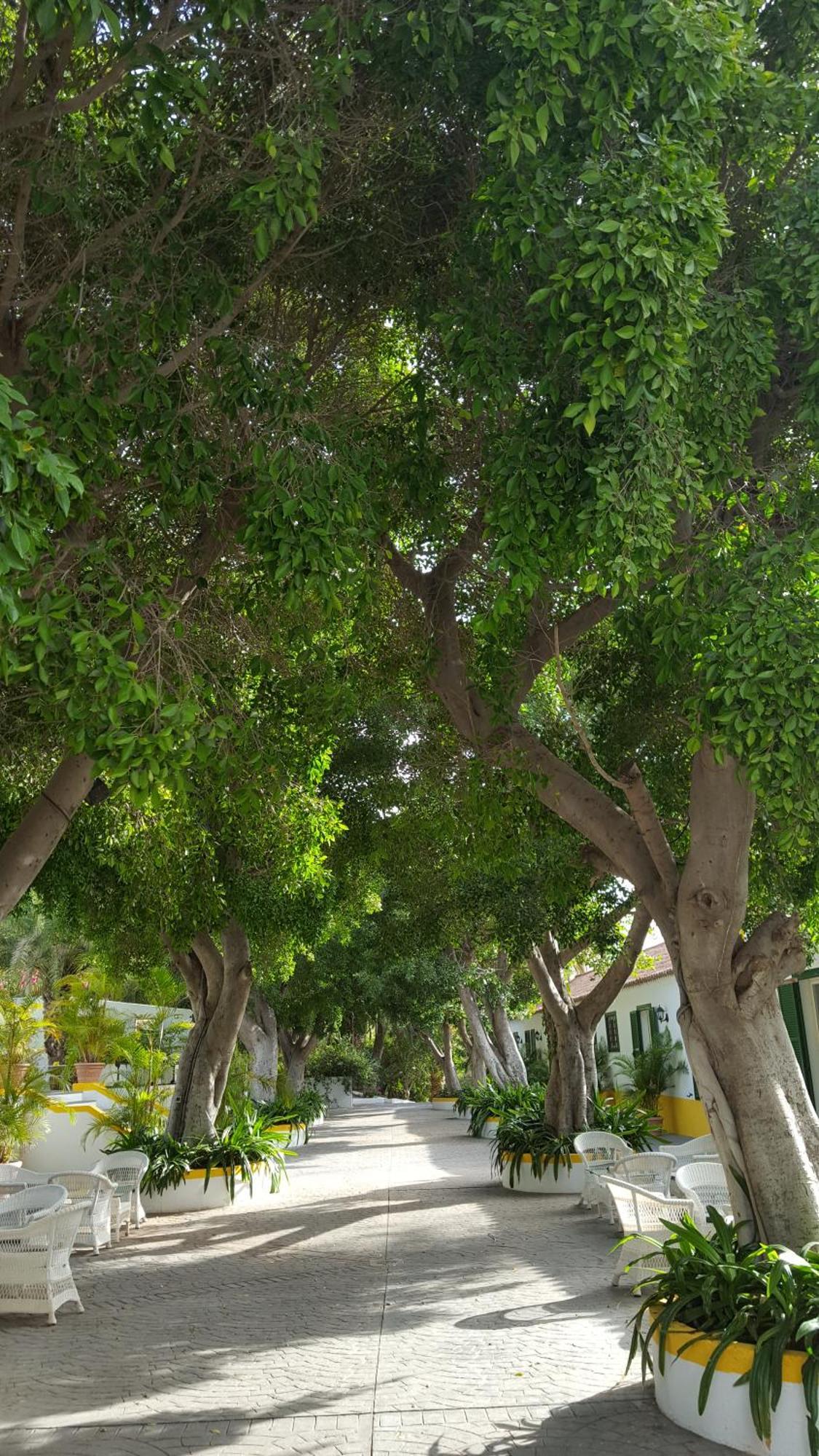Cortijo San Ignacio Hotel El Cortijo  Buitenkant foto